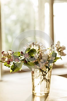 Beautiful bouquet of blossoming apple tree branches stands in a