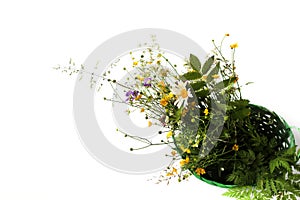 A beautiful bouquet of bright wild flowers in a green basket is isolated on a white background. Top view. Daisies, forest grasses