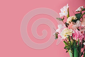 beautiful bouquet of carnations, peony tulips, roses and daffodils on a pink background