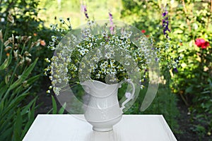 Beautiful bouquet of chamomiles in ceramic jug on white table outdoors