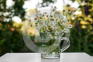 Beautiful bouquet of chamomiles in glass cup on white table outdoors