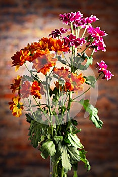 Beautiful bouquet of chrysanthemums over brick wall