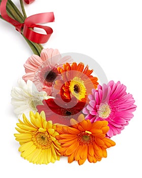 Beautiful bouquet of colorful gerbera flowers