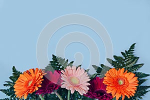 Beautiful bouquet of colorful gerbera flowers with fern leaves on pastel background. Nature concept. Top view. Copy space