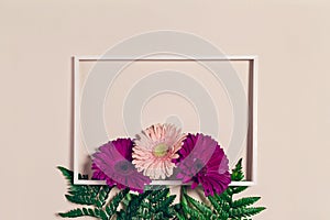 Beautiful bouquet of colorful gerbera flowers with fern leaves on pastel blue background with white frame. Nature concept. Top
