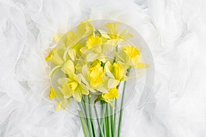 Beautiful bouquet of daffodils on white flowing tulle. simple flat composition with spring flowers.