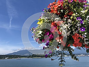 Beautiful bouquet of flowers at Canada Place, Vancouver British Columbia