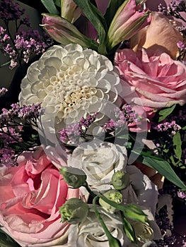 Beautiful bouquet flowers. Pink roses, white roses, white dahlia. Little purple flowers. Flowers background