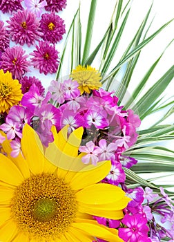 A beautiful bouquet of flowers of sunflowers, chrysanthemums, phloxes