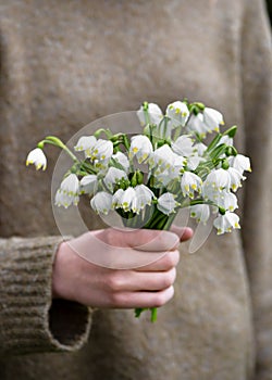 Beautiful bouquet of fresh white snowflakes, early spring flowers in girls hands.