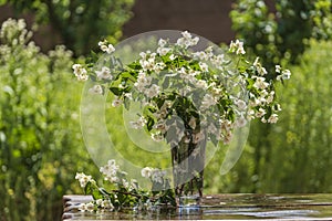 Beautiful bouquet with Jasmine branches on a wooden table in garden