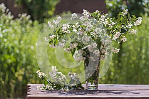 Beautiful bouquet with Jasmine branches on a wooden table in garden