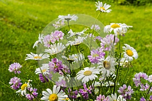 Beautiful bouquet of native summer flowers