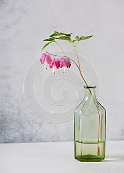 Beautiful bouquet of pink bleeding heart flowers in a green vintage glass vase.