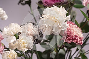 Beautiful bouquet of pink, grey and white carnation flowers, fresh eucalyptusas and violet brassica flower