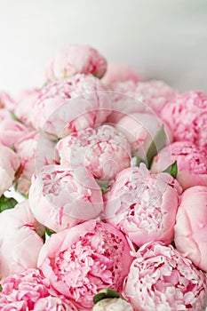 Beautiful bouquet of pink peonies . Floral composition, daylight. Wallpaper. Lovely flowers in glass vase.