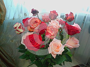 A beautiful bouquet with pink, red roses, bouquet of roses flowers still life.