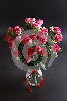 Beautiful bouquet of pink (red) roses bushes with water drops on a black background. Selective focus, close-up