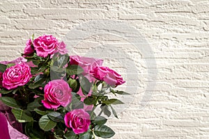 Beautiful bouquet of pink roses, delicate scarlet flowers on white brick / plastered wall background