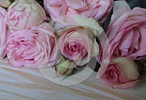 A beautiful bouquet of pink roses lies on a wooden surface.