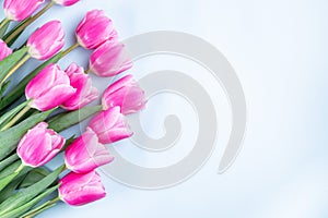 Beautiful bouquet with pink tulips in on blue background, horizontal, copy space, top view