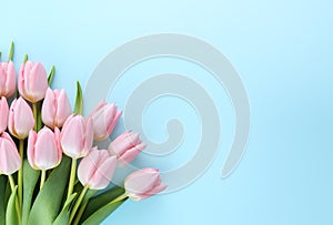 Beautiful bouquet of pink tulips flowers on pastel blue background