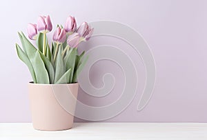 Beautiful bouquet of pink tulips flowers in a pot on pink background