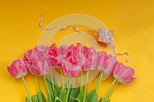 Beautiful bouquet of pink tulips flowers with present box on yellow background. Waiting for spring