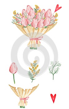 Beautiful bouquet of pink tulips with mimosa on a white background. making up the details of the bouquet, assemble your own