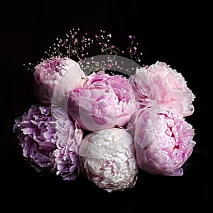 Beautiful bouquet of pink and white peonies