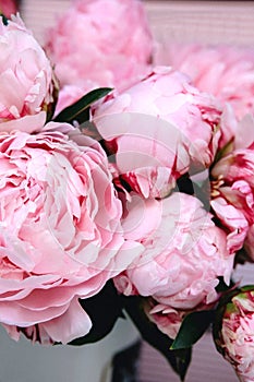 Beautiful bouquet of pink and white peonies