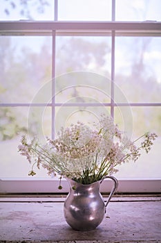 Beautiful bouquet of Queen Anne`s Lace Flowers in Aluminum Pitcher on Sill