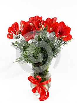 A beautiful bouquet of red amaryllis and conifer branches in a glass vase
