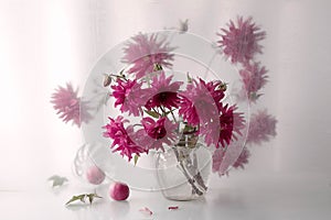 Beautiful bouquet of red Dahlias in a vase on a transparent background .