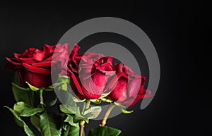 Beautiful bouquet of red roses on a black background. Copy space. Close-up