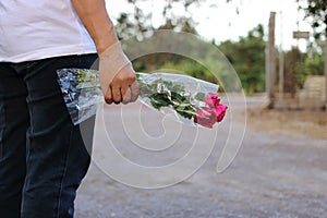 A beautiful bouquet of red roses is held by hand of middle aged woman. Valentine`s day or romance date concept