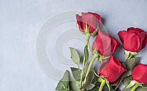 Beautiful  bouquet of red roses lies on a blue background Valentines day. Top view and copy space