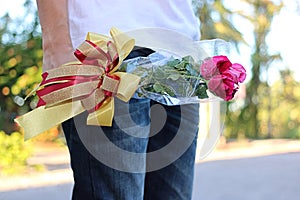 A beautiful bouquet of red roses with ribbon is held by young man with white shirt on nature blurred background. lover and dating