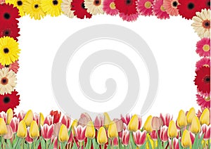 beautiful bouquet of red and yellow flowers on a white background there is a place for text