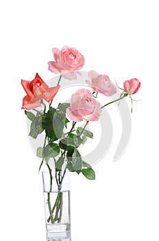 Beautiful bouquet of roses in a glass vase