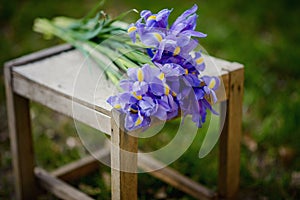 Beautiful bouquet of spring purple irises on a wooden stool in a green garden. Soft focus