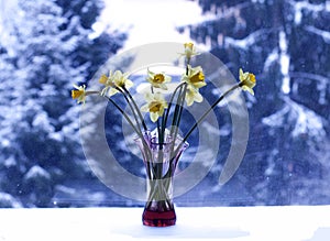 Beautiful bouquet of spring yellow narcisus flowers in a glass vase.