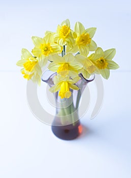 Beautiful bouquet of spring yellow narcisus flowers in a glass vase.