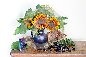 Beautiful bouquet of sunflowers in a vase and black currant berries. Still life with flowers and berries