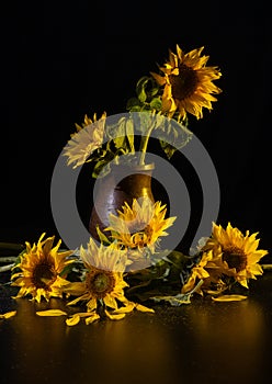 Beautiful bouquet of sunflowers in vase on a black table over black background