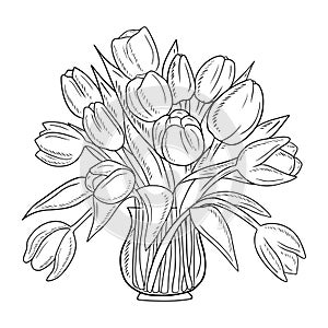 Beautiful bouquet with tulip flowers in glass vase isolated on white background. Hand drawn vector sketch illustration in vintage