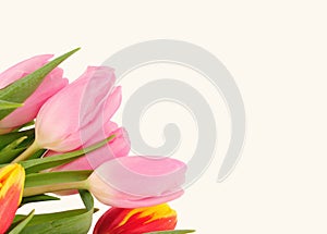 Beautiful bouquet of tulips on a white background