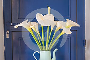 Beautiful bouquet of white calla arums flowers in the vintage coffee pot against the blue door photo