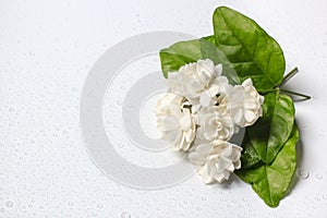 Beautiful bouquet of white Jasmine flowers