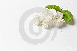 Beautiful bouquet of white Jasmine flowers
